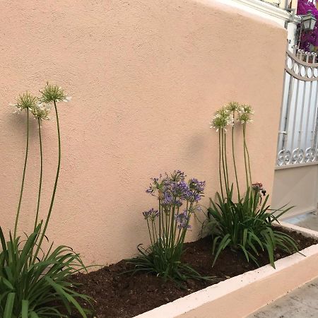 Cabernet Houses Lefkada City Bagian luar foto